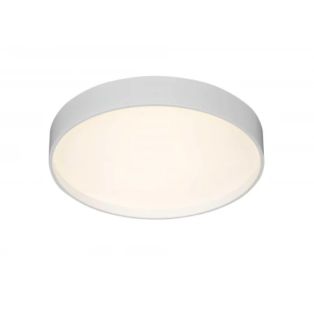 2541/400 WHITE (1) Потолочный светильник (RL) 