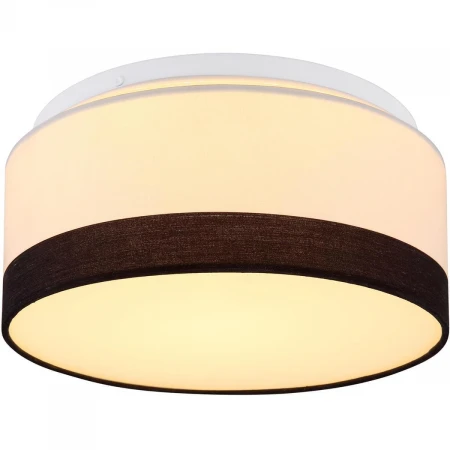 Потолочный светодиодный светильник Globo Maggy 15385D