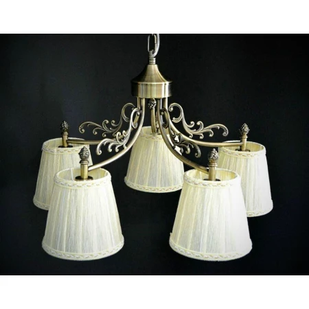 VD50877-5B-R  (1) VD50877-5B-R  (1)