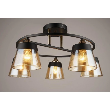 ВР-N3820/5 BK+GD (4) светильник потолочный [01091556] - Люстры еврокаркас