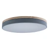 Потолочный светодиодный светильник Loft IT Axel 10001/36 grey