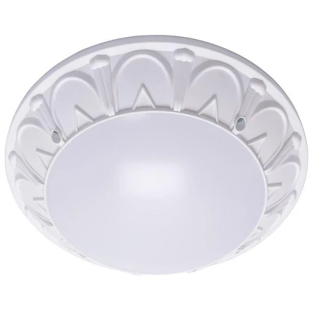 Светильник для ванной комнаты Feron 41360 Маэстро