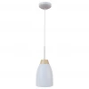 Подвесной светильник Loft IT Watchman Loft4402A-Wh