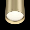 Потолочный светильник Maytoni Focus S C052CL-01MG