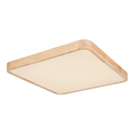 Потолочный светодиодный светильник Globo Leanara 41755-48