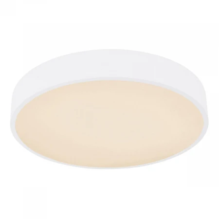 Потолочный светодиодный светильник Globo Leanara 41756-24W