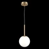 Подвесной светильник Maytoni Basic form MOD321PL-01G1