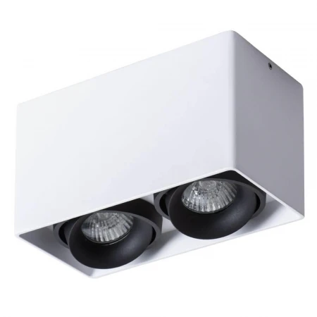 Потолочный светильник Arte Lamp Pictor A5654PL-2WH Потолочный светильник Arte Lamp Pictor A5654PL-2WH