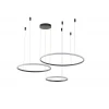Подвесной светильник Zortes RINGOLIGHT ZRS.33321.75F