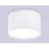 Потолочный светильник Ambrella light Techno Spot IP Protect TN6522