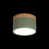 Накладной светодиодный светильник Loft IT Grape 10162 Green Накладной светодиодный светильник Loft IT Grape 10162 Green