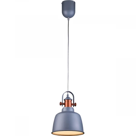 Подвесной светильник Lucia Tucci Industrial 1820.1 Sand Silver