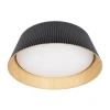 Потолочный светодиодный светильник Loft IT Evans 10224 Black