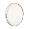 Настенно-потолочный светодиодный светильник Sonex Pale Olidi White 7646/EL
