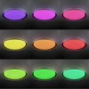 Потолочный светодиодный светильник Citilux Mega CL752451G