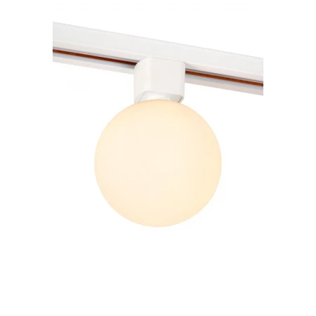 Трековый светильник Lucide TRACK 09959/31/61