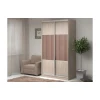 Шкаф-купе Адриано-2.1 1600x624x2400 мм Шкаф-купе Адриано-2.1 1600x624x2400 мм