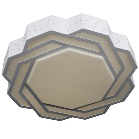 Светильник Omnilux OML-43607-40 Ritorria