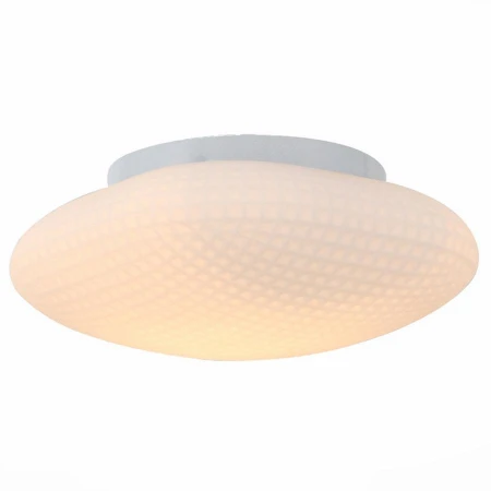 Светильник ST LUCE SL504.552.01 PONE