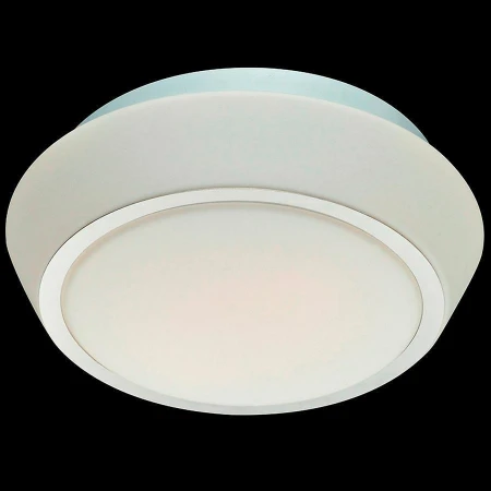 Светильник для ванной комнаты ST LUCE SL496.502.01