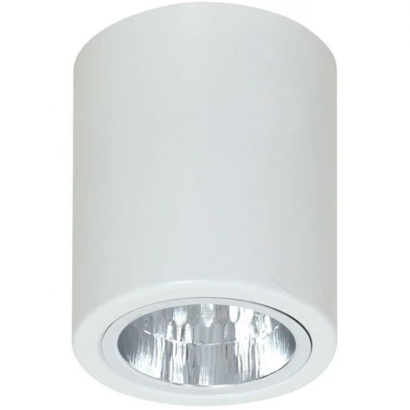 Точечный светильник Luminex 7242 DOWNLIGHT ROUND