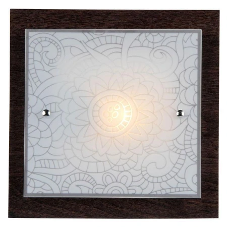 Настенно-потолочный светильник Freya FR4812-CL-01-BR Constanta