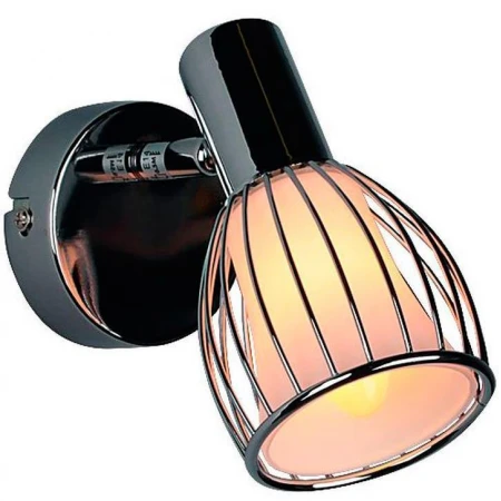 Спот Omnilux OML-21301-01