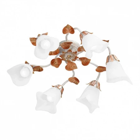 Потолочная люстра Vitaluce V1636/6PL