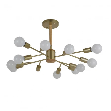 Подвесная люстра F-Promo Liber 2587-12P