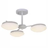 Потолочная светодиодная люстра F-Promo Ledante 2475-3P