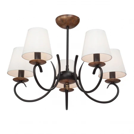 Потолочная люстра Vitaluce V3734-1/5PL