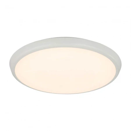 Потолочный светодиодный светильник Globo Aemon 32109