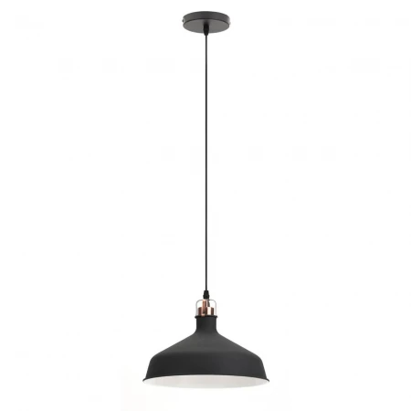 Подвесной светильник ЭРА Loft PL2 BK/RC