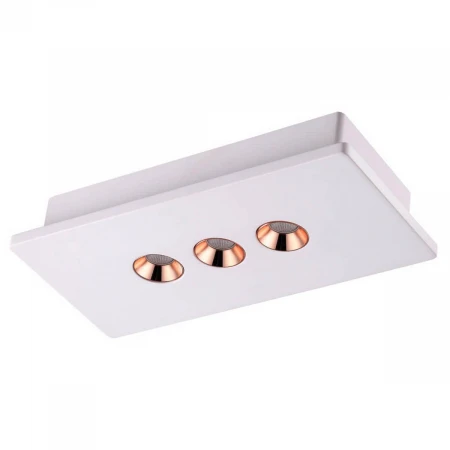 Потолочный светодиодный светильник Novotech Caro 357940