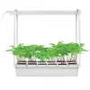 Светодиодный светильник для растений (UL-00004149) Uniel Minigarden ULT-P34-10W/SPSB IP40 White 12