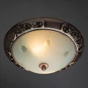 Потолочный светильник Arte Lamp 28 A3014PL-2AC